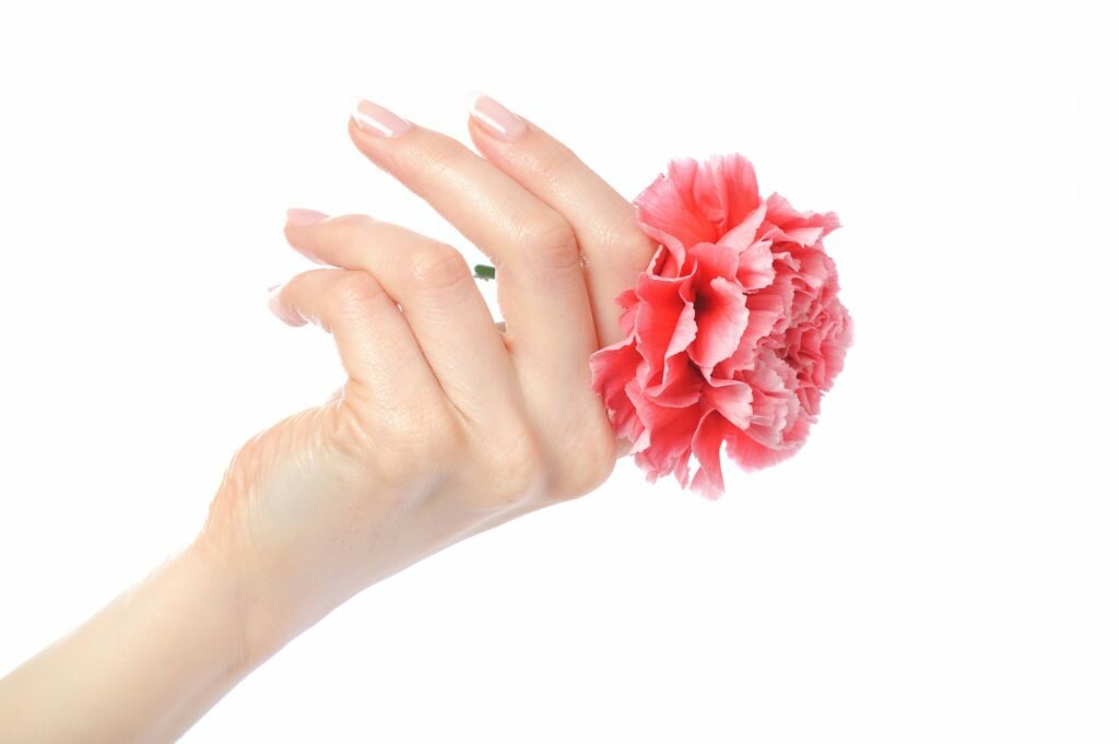 Lotus Day Spa Nails Nail Salon Savannah GA 31322